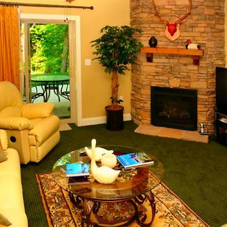 Summit Manor Condominiums ガトリンバーグ エクステリア 写真